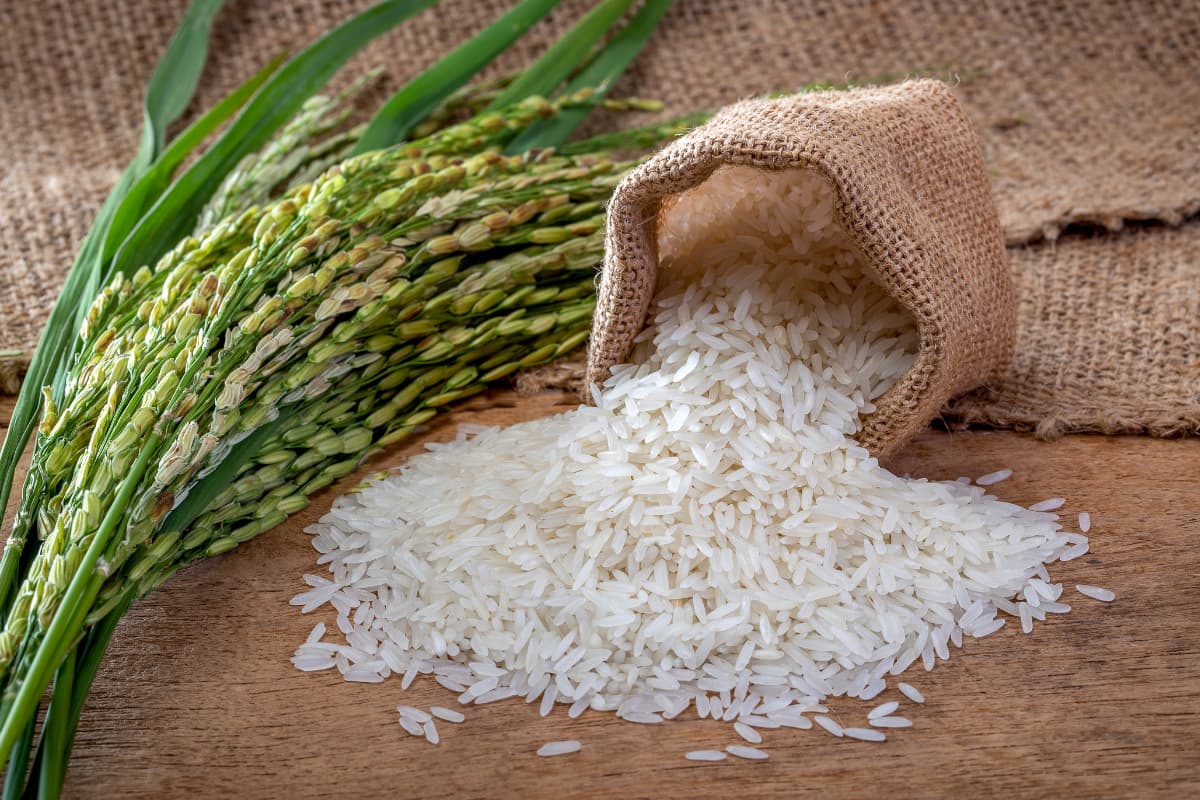 Types Of Rice In Ghana Rice production in Ghana: Why is it struggling despite high demand?